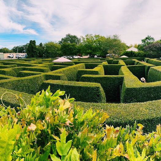 Beautifully landscaped grounds 