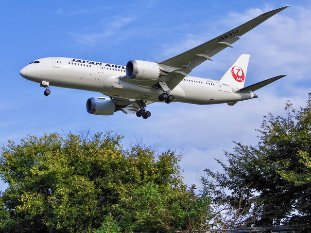 【千葉・成田市】飛行機ウォッチング👀