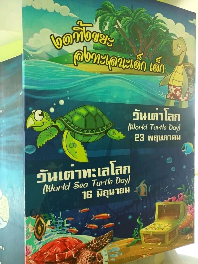 ดูน้องเต่ากันนะ
