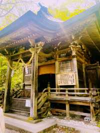 【長野県/戸隠神社の五社のうちの一社『戸隠神社 九頭龍社』