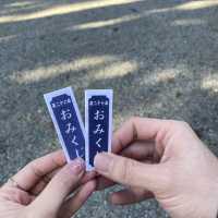 Miyama Kayabuki (Kyoto) มรดกโลกของญี่ปุ่น🇯🇵