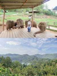 【チェンマイ】ゾウカフェが楽しすぎる！！🐘♡