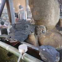 知多新四国八十八箇所霊場の86番「観音寺」