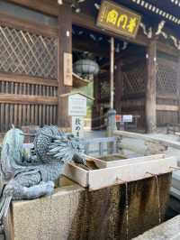 【京都】早朝の清水寺