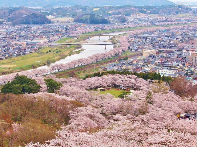賞櫻勝地船岡城址公園