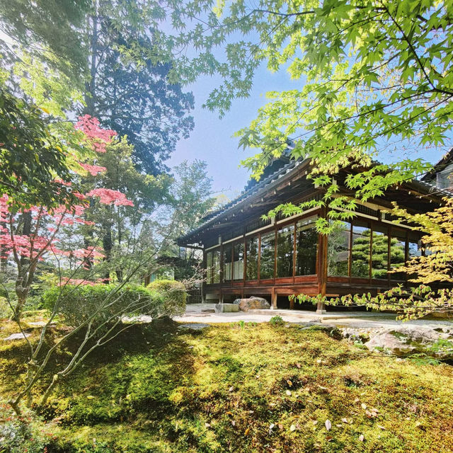 「寶泉院」古樸淡雅、禪意盎然