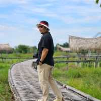 แจกพิกัด คาเฟ่ที่มีน้องช้าง สันกำแพง เชียงใหม่