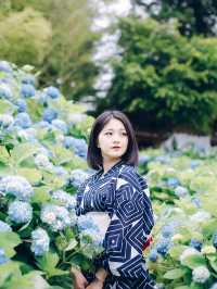 ここ知ってる？？【死ぬまでに見たい絶景】男鹿の紫陽花寺　雲昌寺🫧🫧