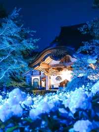 ここ知ってる？？【死ぬまでに見たい絶景】男鹿の紫陽花寺　雲昌寺🫧🫧