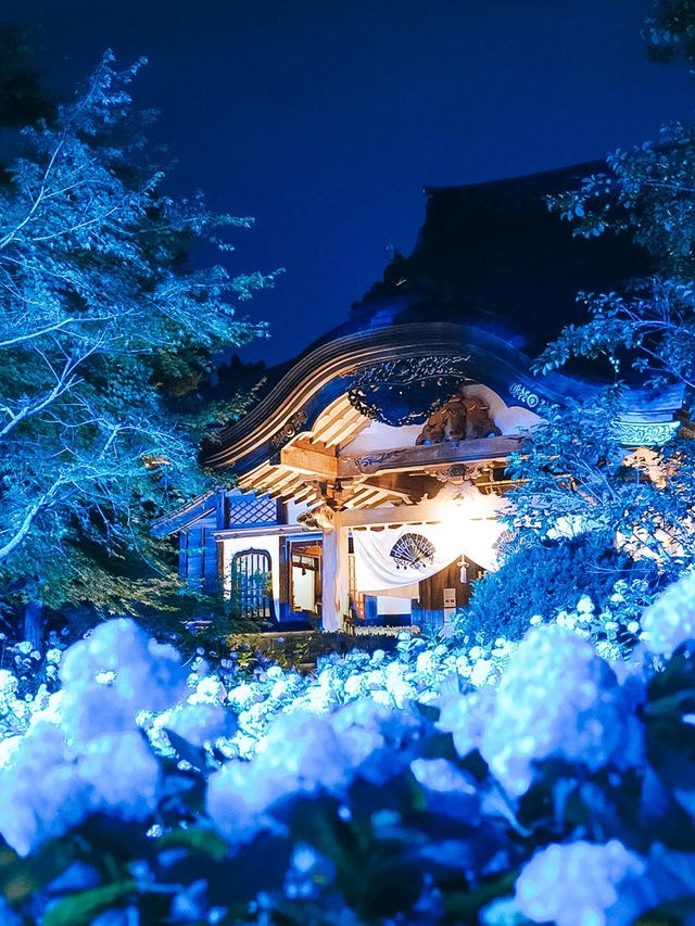 ここ知ってる？？【死ぬまでに見たい絶景】男鹿の紫陽花寺　雲昌寺🫧🫧