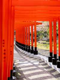 【青森にもあった！】千本鳥居絶景スポット⛩️⛩️高山稲荷神社