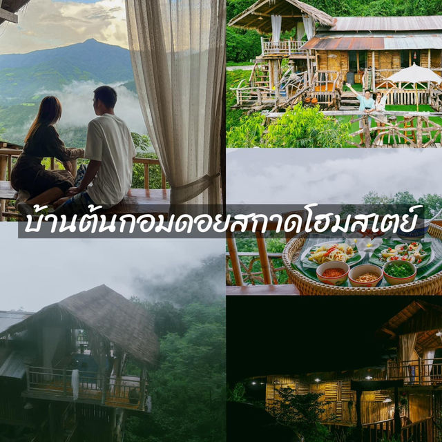 👉ชี้พิกัด 6 ที่พัก "ดอยสกาด" หน้าฝน⛰️🍃