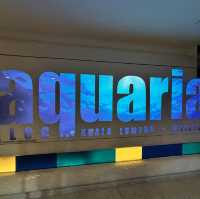 🇲🇾 潛入吉隆坡的藍色心臟！Aquaria KLCC 水族館，一場與微笑魟魚共舞的城市冒險！🦈✨