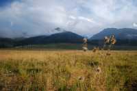 Step into the Heavenly Sky Grassland