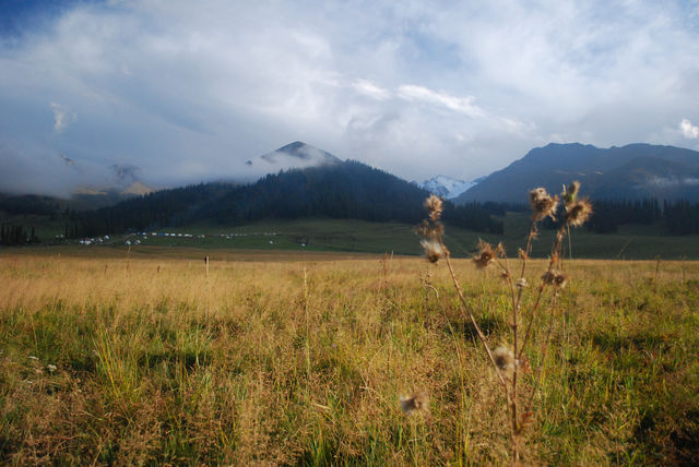 Step into the Heavenly Sky Grassland
