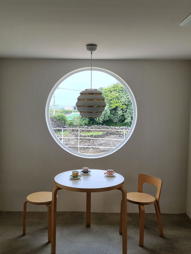 🍊 ⁺₊⋆ ☾ 제주 이국적인 카페 치즈태비🌴