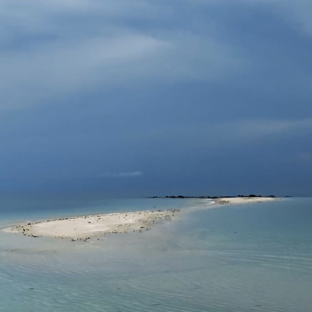 POLILLO ISLAND 🐚🏝️☀️👙