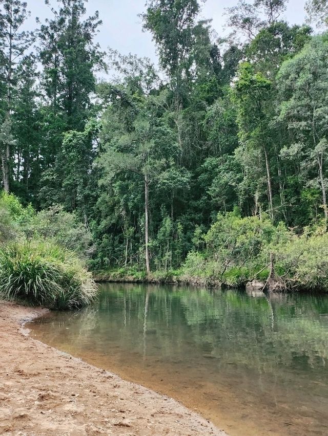 🇦🇺 Awesome Camping Site in Queensland, Australia