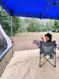 🇦🇺 Awesome Camping Site in Queensland, Australia
