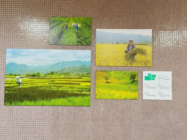 花蓮-池南國家森林遊樂區（扭蛋DIY)