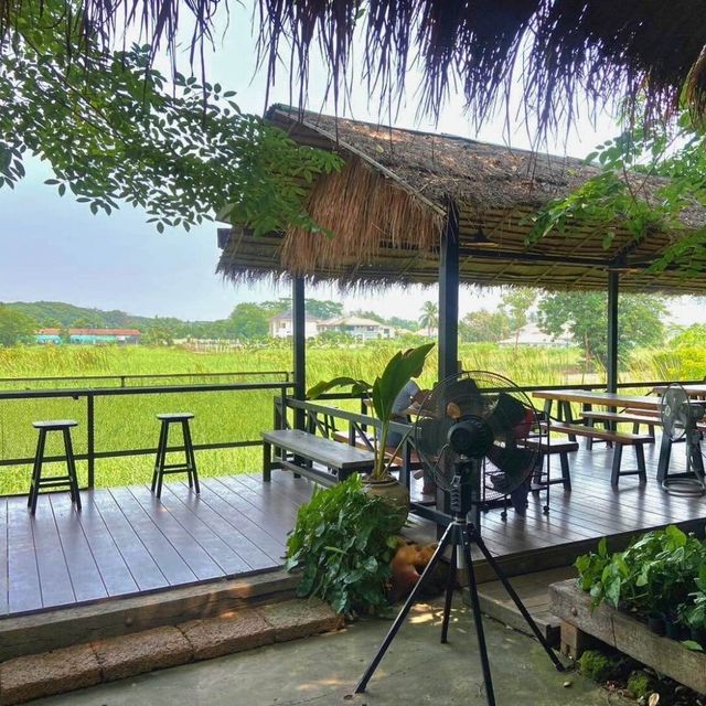 🥗ร้านอาหารบ้านเรา 