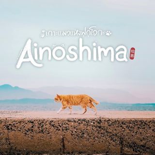 福岡的貓咪島嶼 