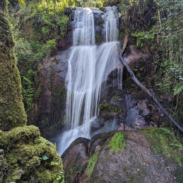 Peneda