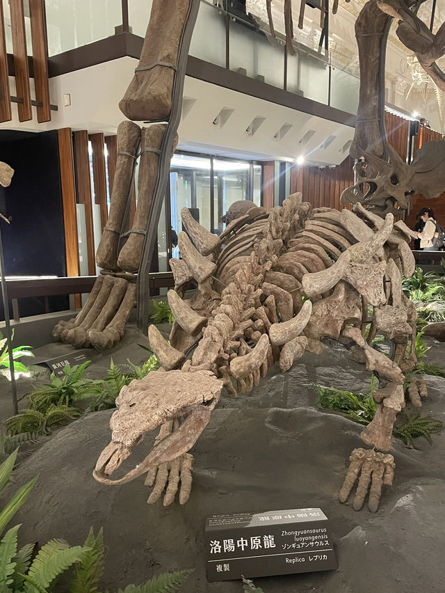 National Taiwan Museum🏛️