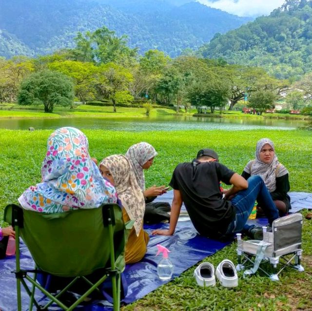 Lush and Green Taman Tasik Taiping