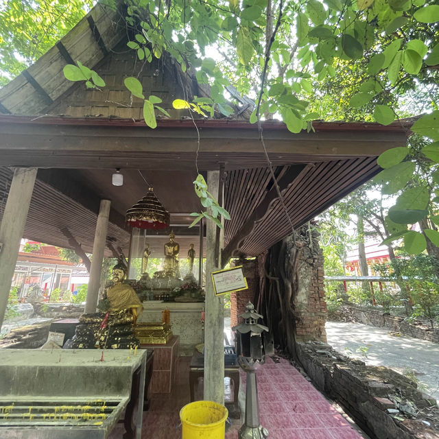 เดินลอดซุ้มประตูโพธิ์