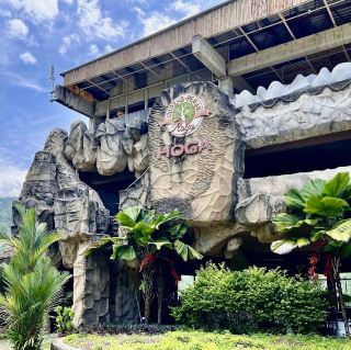 ガハル茶谷で木を抱きしめる