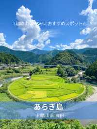 【和歌山】の絶景スポット！あらぎ島で日本の夏を満喫🌿
