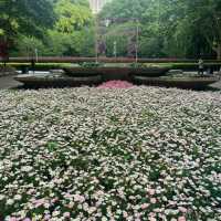 深圳中心公園：現代藝術、環保理念，多元化活動空間