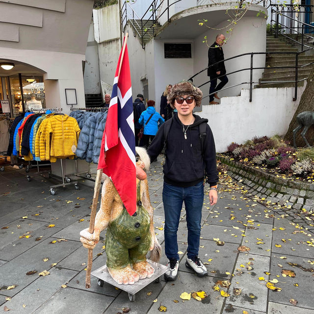 ノルウェー🇳🇴オーレスン