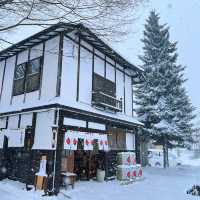 「山形藏王樹冰」1月下旬至2月最佳觀賞時期，優惠套票限時推出！