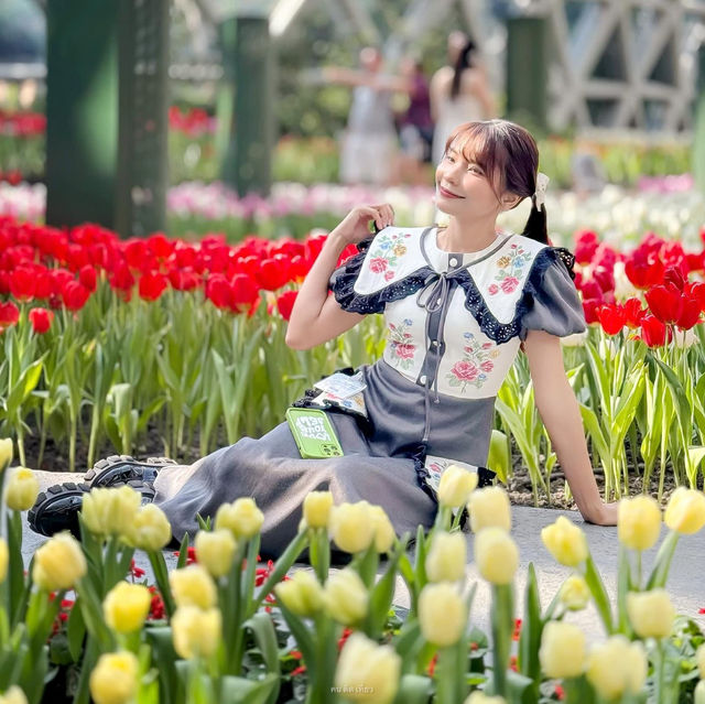 🌷สวนดอกไม้เมืองหนาวที่ใหญ่ที่สุดในประเทศไทย🌹