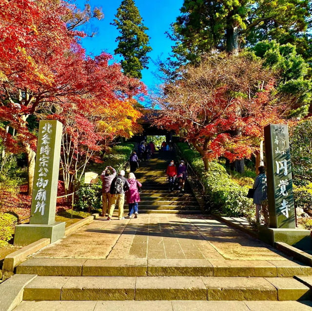〜神奈川県〜鎌倉映えスポット！円覚寺