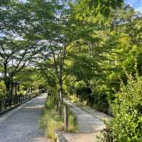 京都　哲学の道