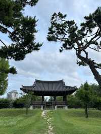 강가에 운치를 즐기시며 🏝️ 유유자적 쉴 수 있는 여주 신륵사 여름여행 💚