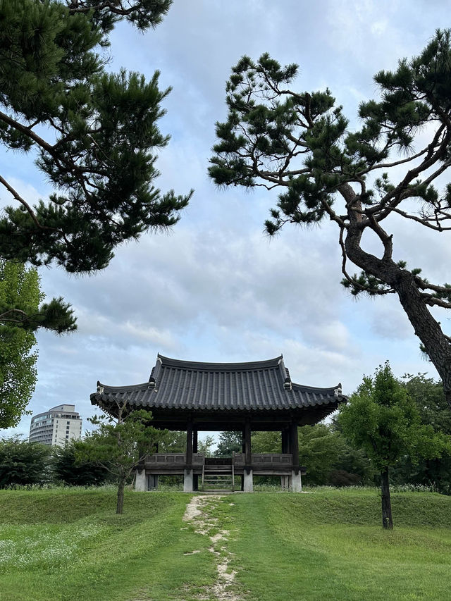 강가에 운치를 즐기시며 🏝️ 유유자적 쉴 수 있는 여주 신륵사 여름여행 💚