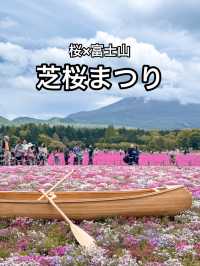 📍富士本栖湖リゾート 富士芝桜まつり