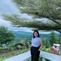 wander and book on trip.com