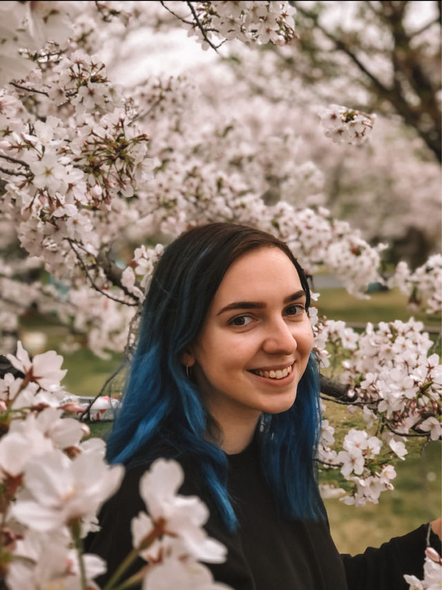 Cherry Blossoms at Gucun Park, Shanghai 🌸🇨🇳