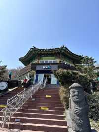 🇰🇷 濟州 韓國最高山漢拿山 🏔️ 最短登山徑⛰️