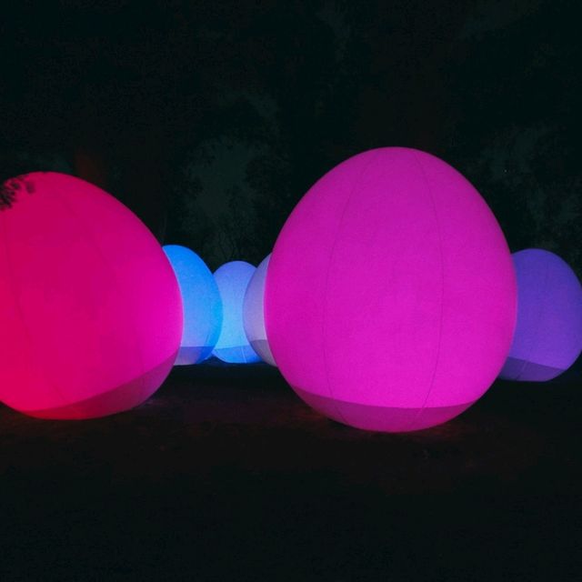 ไปดู Digiata Art สุดเท่ที่ teamLab Osaka กัน
