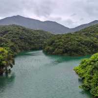香港行山之大潭郊野公園