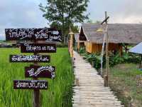 ฮักเมืองคองโฮมสเตย์ อ.เชียงดาว จ.เชียงใหม่
