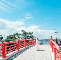 【裏手には海!?】美しすぎる森戸神社✨