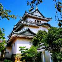 快閃和歌山
