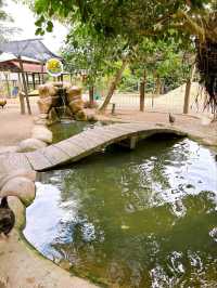 Exploring Bentong Farm: A Nature Lover’s Paradise